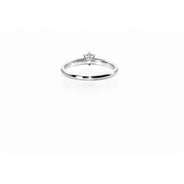 Soliaire Lumière Pure